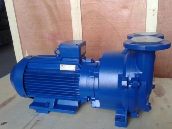 2BV Series Water Ring Vacuum Pump